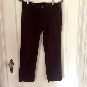 Daisy Fuentes petite plum pants